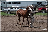 4H-Prod-Show-2006-0199.jpg