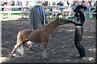 4H-Prod-Show-2006-0033.jpg