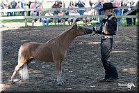 4H-Prod-Show-2006-0034.jpg