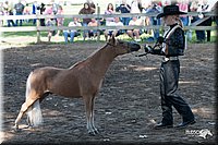 4H-Prod-Show-2006-0035.jpg