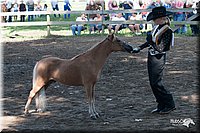 4H-Prod-Show-2006-0036.jpg