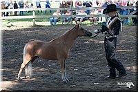 4H-Prod-Show-2006-0037.jpg