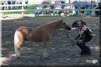 4H-Prod-Show-2006-0038.jpg