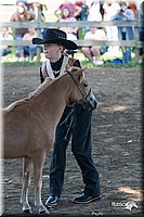 4H-Prod-Show-2006-0047.jpg