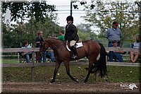 4H-Prod-Show-2006-0229.jpg