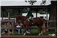 4H-Prod-Show-2006-0242.jpg