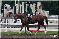 4H-Prod-Show-2006-0243.jpg