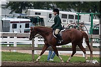 4H-Prod-Show-2006-0245.jpg