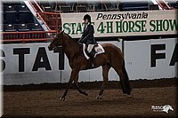 4H-State-06_1076.jpg