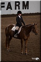 4H-State-06_1129.jpg