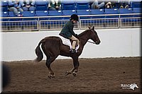 4H-State-06_889.jpg