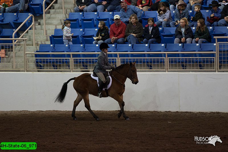 4H-State-06_971.jpg