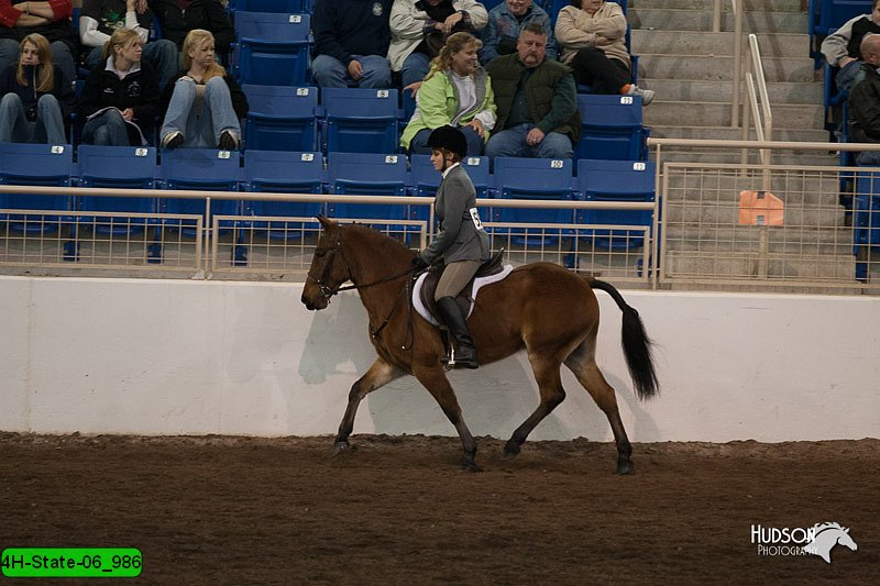 4H-State-06_986.jpg