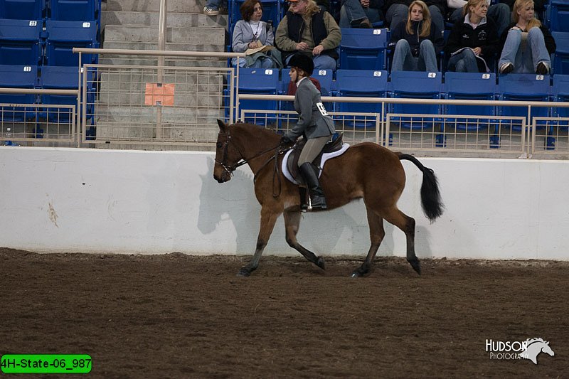 4H-State-06_987.jpg