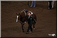 4H-State-06_520.jpg