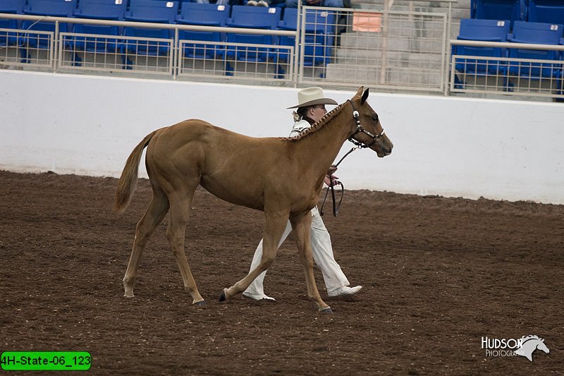 4H-State-06_123.jpg