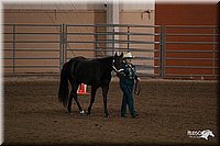 4H-State-06_078.jpg