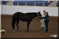 4H-State-06_082.jpg