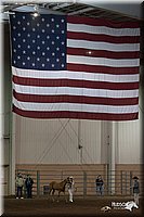 4H-State-06_098.jpg