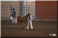 4H-State-06_100.jpg
