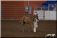 4H-State-06_103.jpg