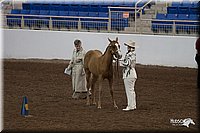 4H-State-06_106.jpg