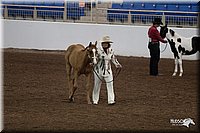 4H-State-06_108.jpg