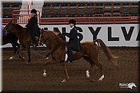 4H-State-06_347.jpg