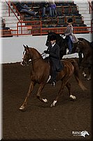 4H-State-06_349.jpg