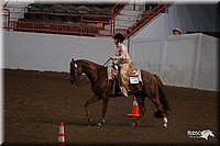 4H-State-06_742.jpg