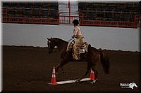 4H-State-06_744.jpg