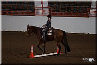 4H-State-06_760.jpg