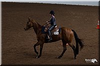 4H-State-06_765.jpg