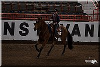 4H-State-06_767.jpg