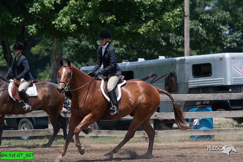 4H-1st-07_667.jpg