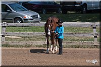 4H-1st-07_452.jpg