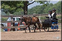 4H-Third-07_0583.jpg
