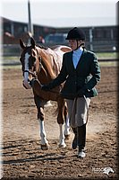 4H-Third-07_0453.jpg
