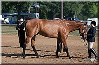4H-Third-07_0455.jpg