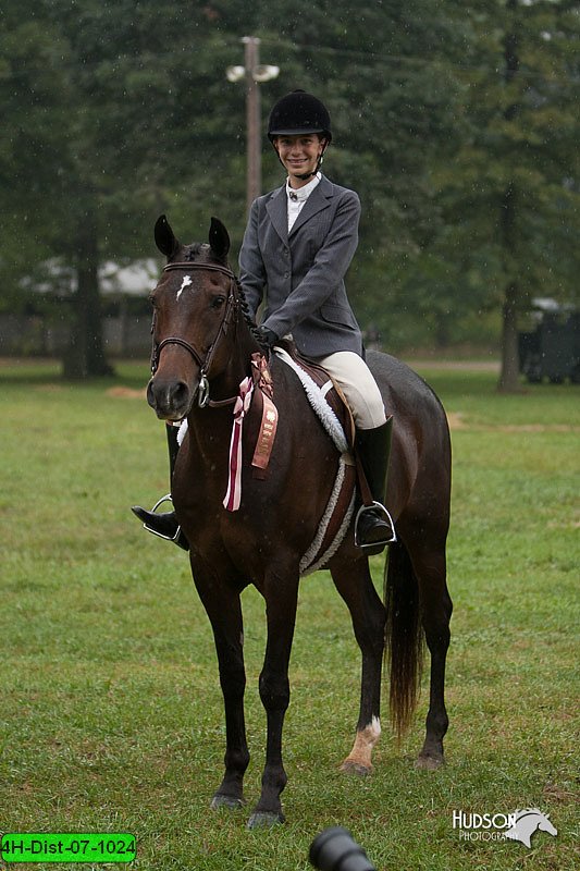 4H-Dist-07-1024.jpg