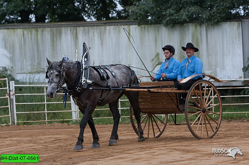 4H-Dist-07-0561.jpg