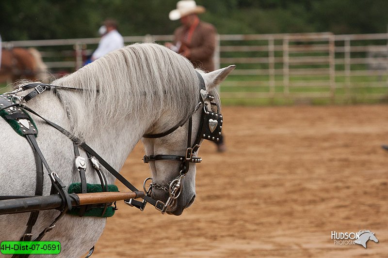 4H-Dist-07-0591.jpg