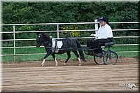 4H-Dist-07-0541.jpg