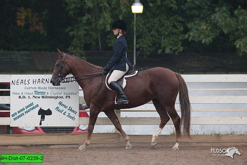 4H-Dist-07-0239-2.jpg