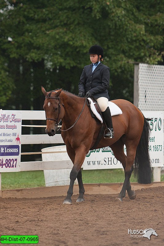 4H-Dist-07-0965.jpg