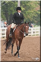 4H-Dist-07-1013.jpg