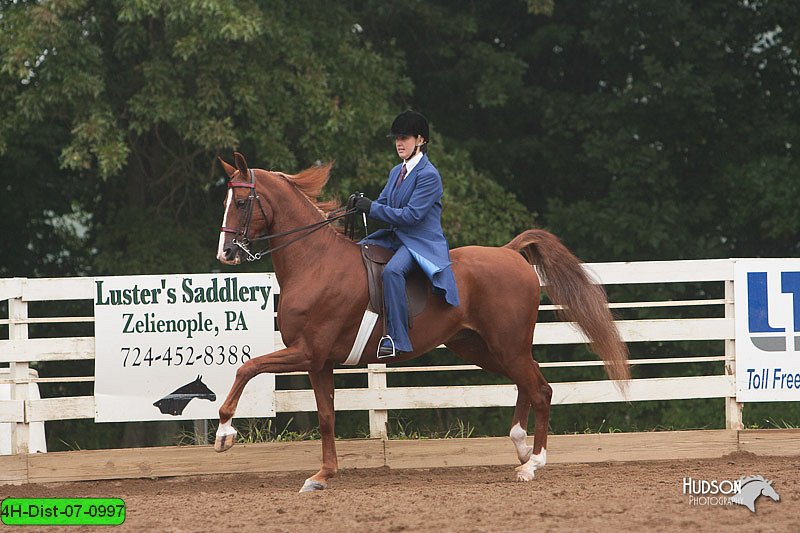 4H-Dist-07-0997.jpg