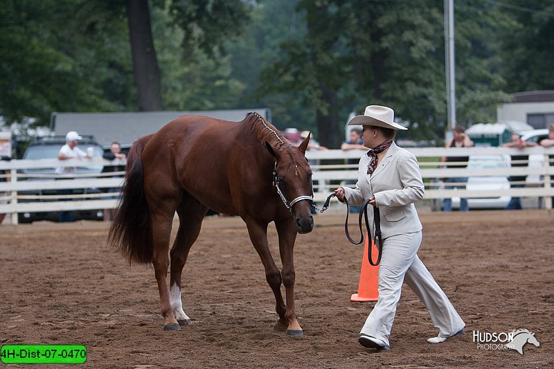 4H-Dist-07-0470.jpg