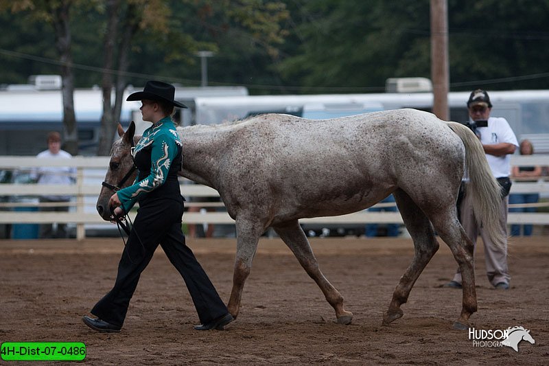 4H-Dist-07-0486.jpg