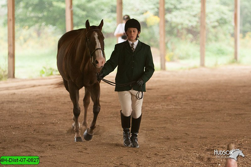 4H-Dist-07-0827.jpg